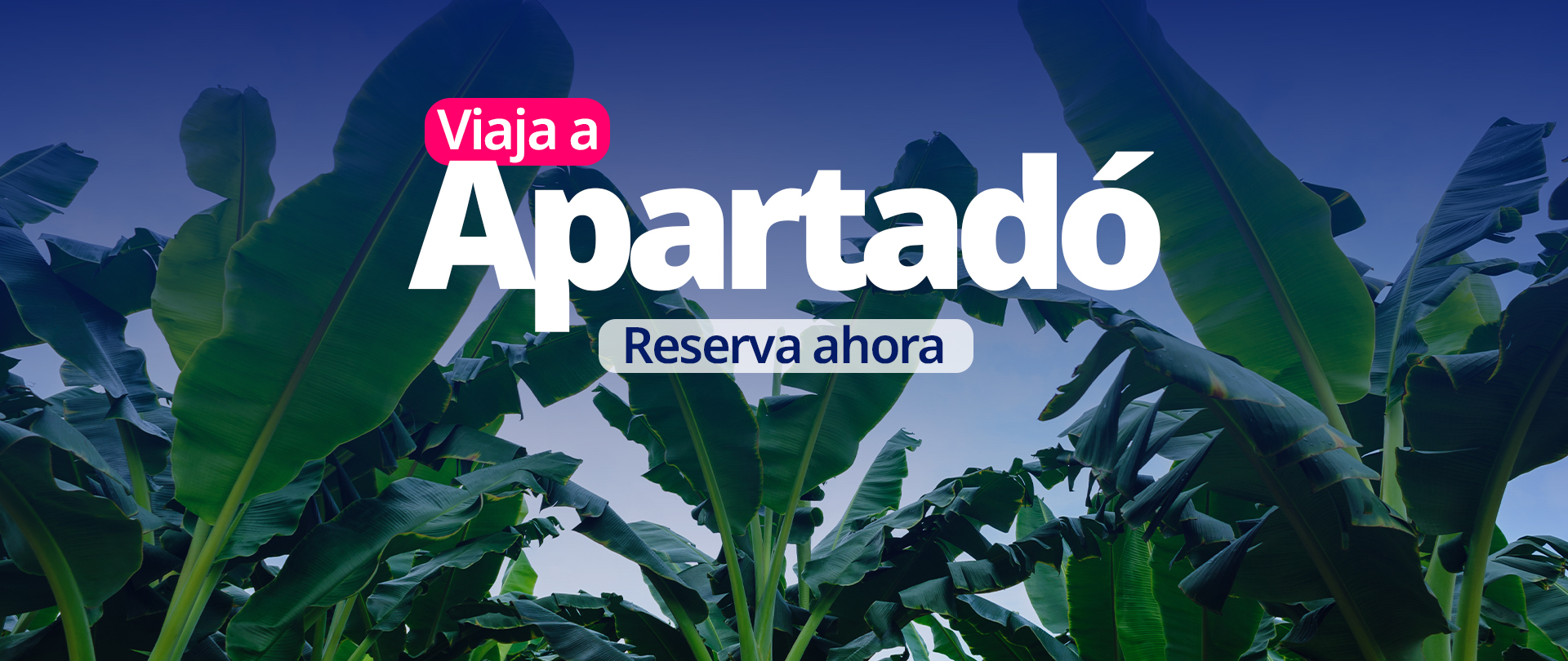 Nuevo Apartadó