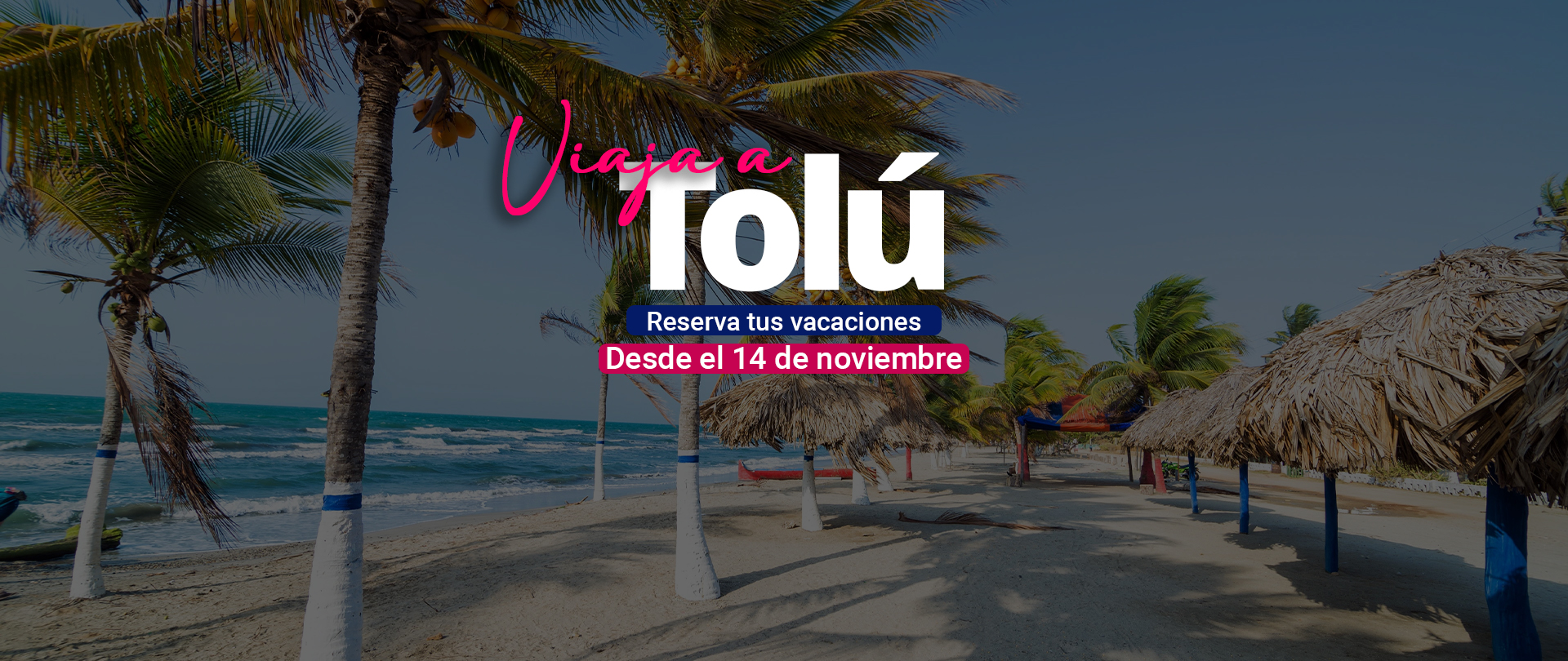 Tolú